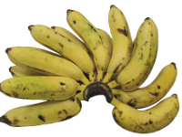 Pagar Banana