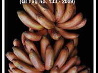 Kamalapur Red Banana  Origin. Kamalapur village, Gulbarga district, Karnataka  Features.   • It is cultivated in Rajnal, Okali and Nadvinhalli villages of Gulbarga district, Karnataka.  • It is grown in red soils and fruits are rich in calcium, iron, potassium, fibre and vitamins C and B6.  • Crop duration is 18 months.  • Bunch weight ranges 15-20 Kg.  • Fruit peel is red with cream colored, sweet pulp.  • The fruits are recommended for children suffering from typhoid due to their high calorific value.  • It is also suitable for making chips.