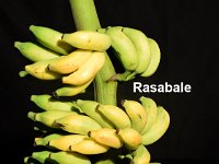 Rasabale 1  Synonym of cultivar Rasthali.