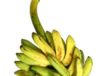 Pagar Banana 1