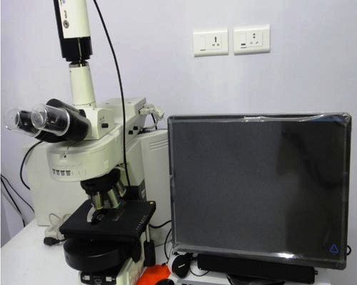 UV Fluorescent Microscope