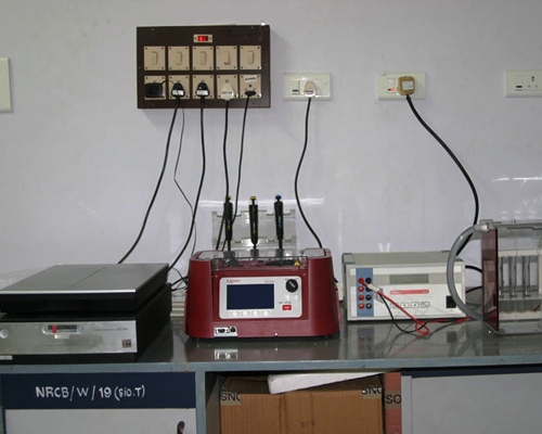 2D Electrophoresis