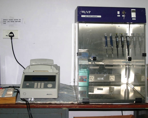 PCR workstation