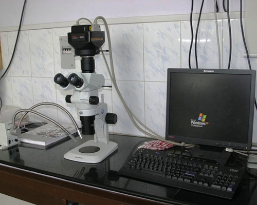 Stereo zoom Microscope