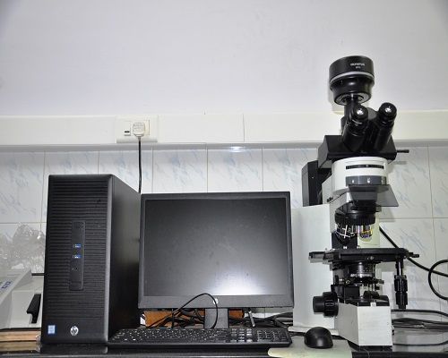 Light Microscope & Desktop