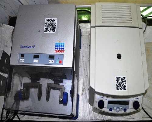 Tissue Lyser and Eppondorff Micro-Centrifuge