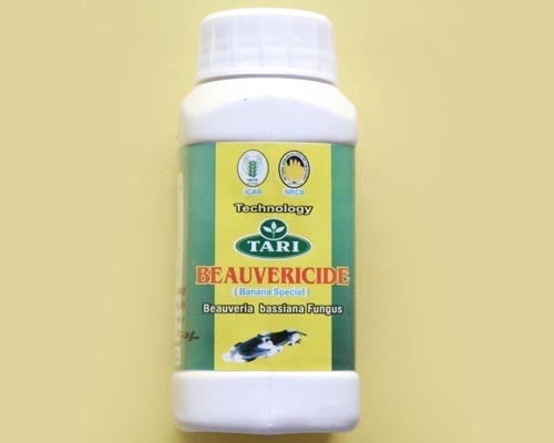 Bioinsecticide